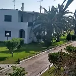 Theodora's In Palm Trees Garden *