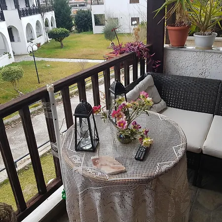 Theodora's In Palm Trees Garden *