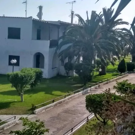 Theodora's In Palm Trees Garden *
