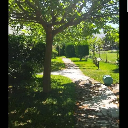 Theodora's In Palm Trees Garden Daire