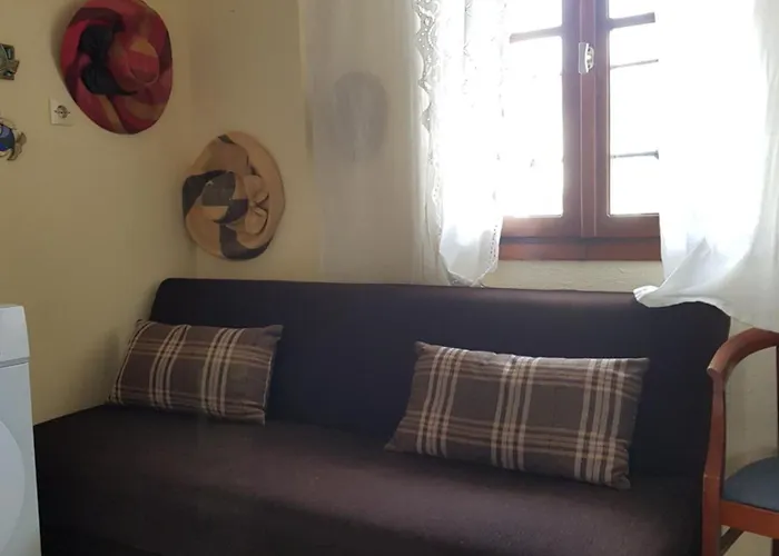 Theodora'S Apartment In Palm Trees Garden * Skála Foúrkas