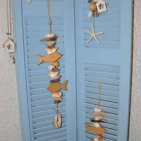 Theo In The Palm Trees * Szkála Fúrkasz