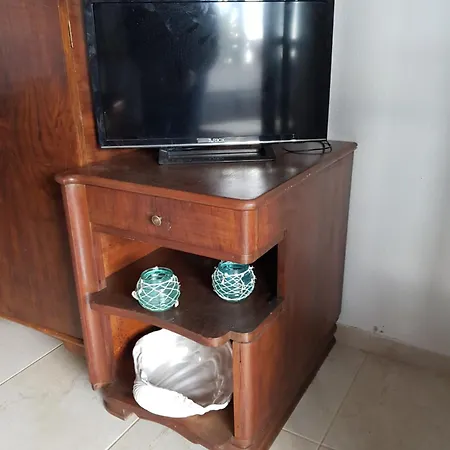 Theo In The Palm Trees *