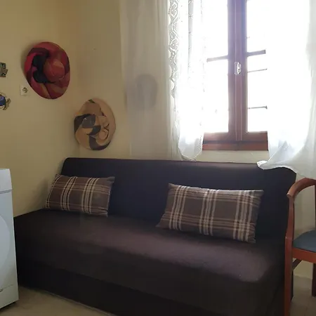 Theo In The Palm Trees * Szkála Fúrkasz