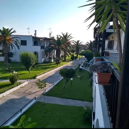 Theo In The Palm Trees * Skala Fourkas