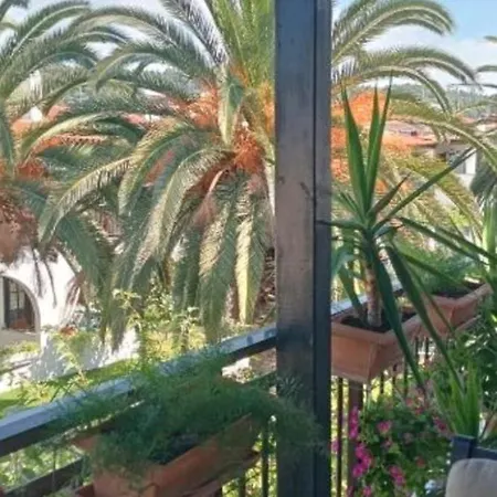 Teo The Palm Oasis House 80m From The Sea Skála Foúrkas