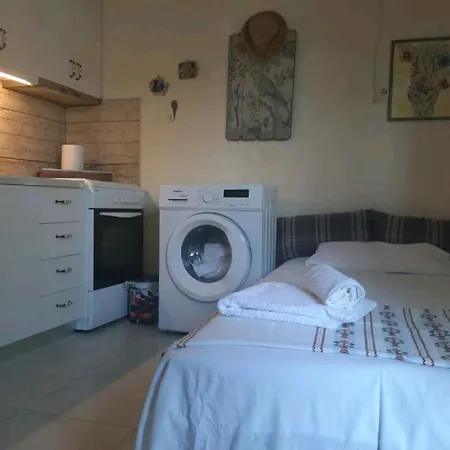 Teo The Palm Oasis House 80m From The Sea 아파트