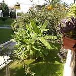 Διαμέρισμα Theodora'S Apartment In Palm Trees Garden *