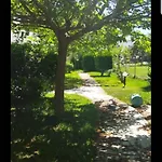 Theodora'S Apartment In Palm Trees Garden Διαμέρισμα
