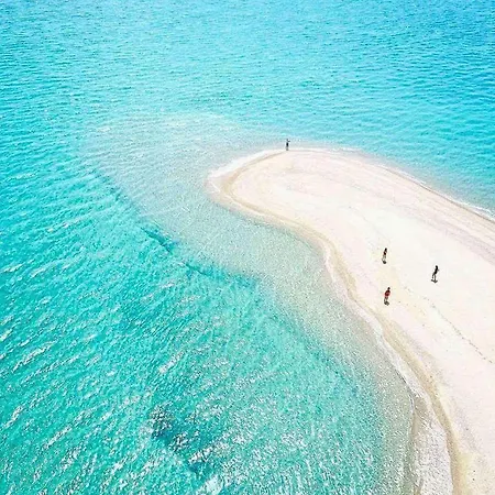 Theo In The Palm Trees 公寓