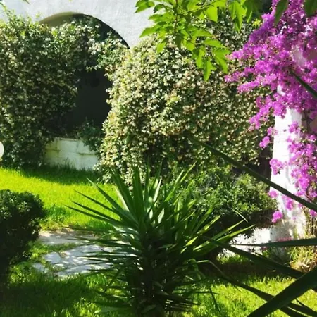 Theodora's In Palm Trees Garden Апартаменты *
