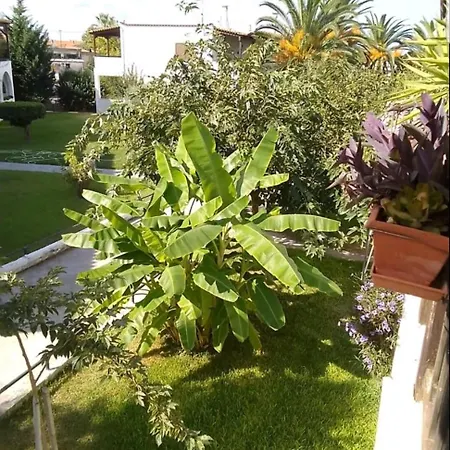Апартаменты Theodora's In Palm Trees Garden *