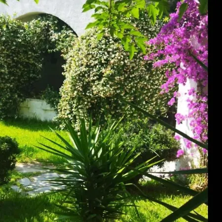 Theodora's In Palm Trees Garden * Скала-Фуркас