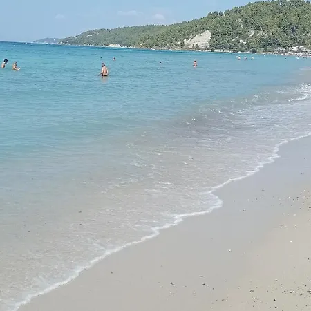 Theo In The Palm Trees * Skála Foúrkas