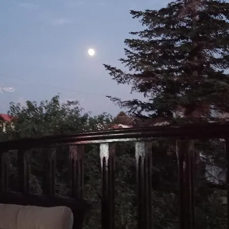 Theo In The Palm Trees * Skála Foúrkas