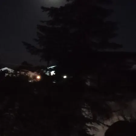 Theo In The Palm Trees 公寓