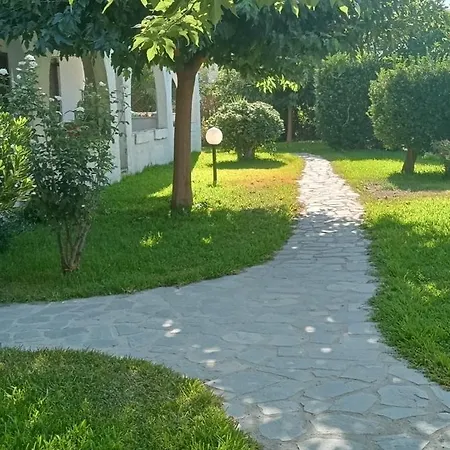 Theo In The Palm Trees Skála Foúrkas