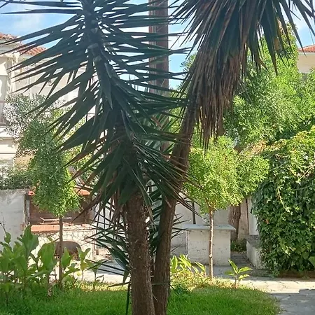Апартаменты Theodora's In Palm Trees Garden *