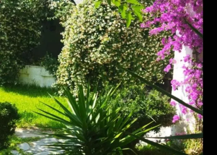 Theodora'S Apartment In Palm Trees Garden * Skála Foúrkas